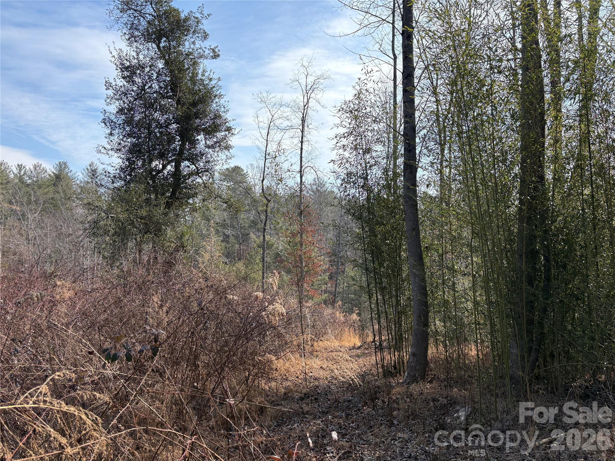 Photo of 120 Shamrock Circle, Hudson, NC 28638