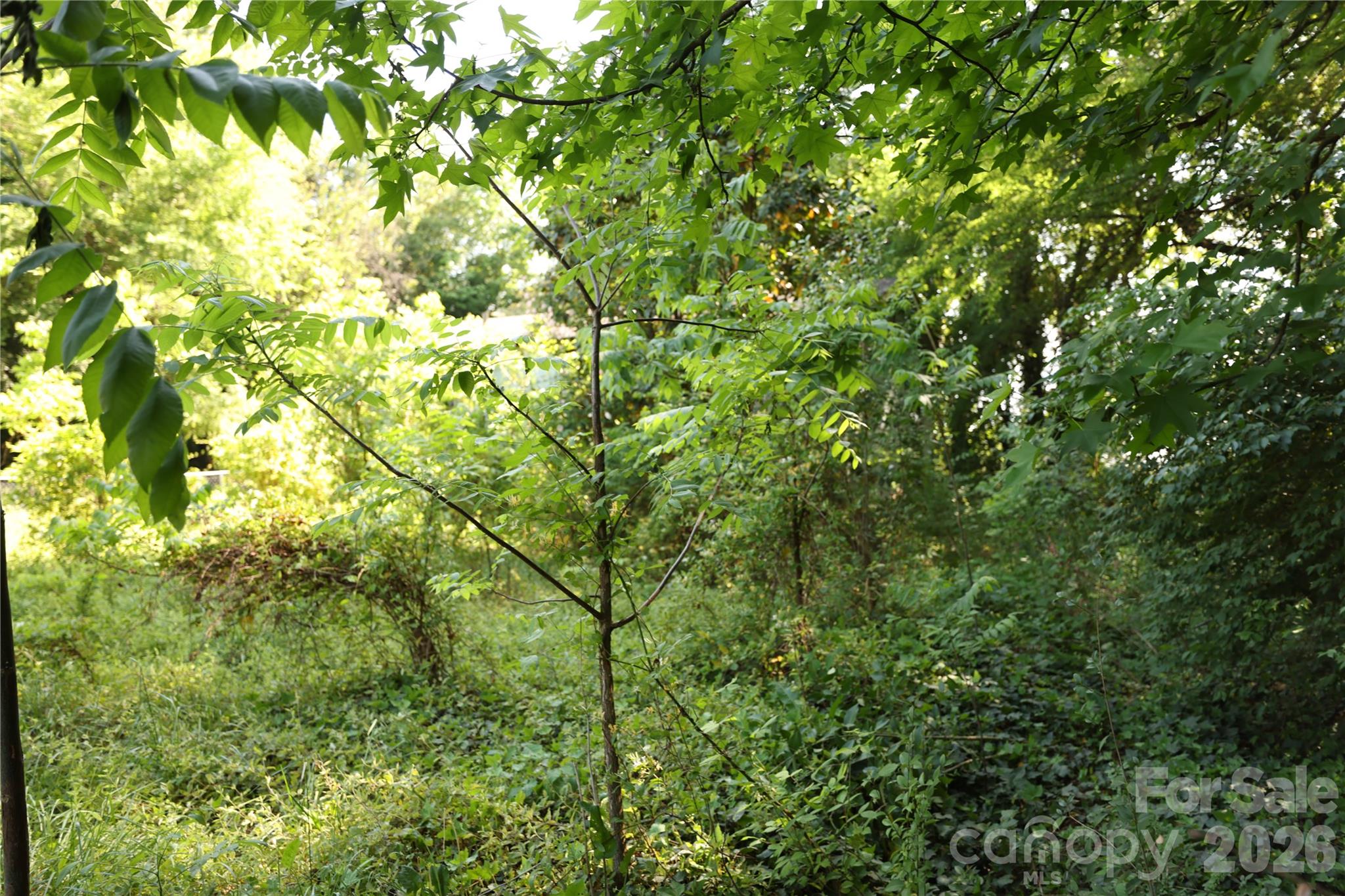 Photo of 708 Smyre Drive, Gastonia, NC 28054