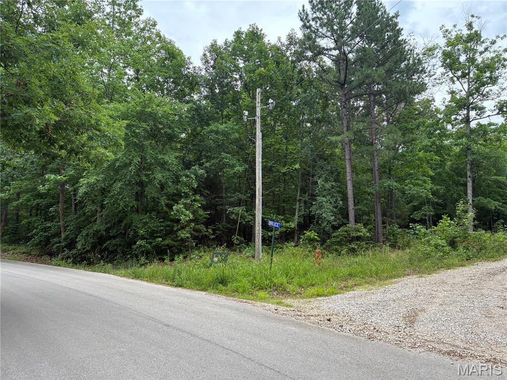 Photo of 0 Bruce, Poplar Bluff, MO 63901
