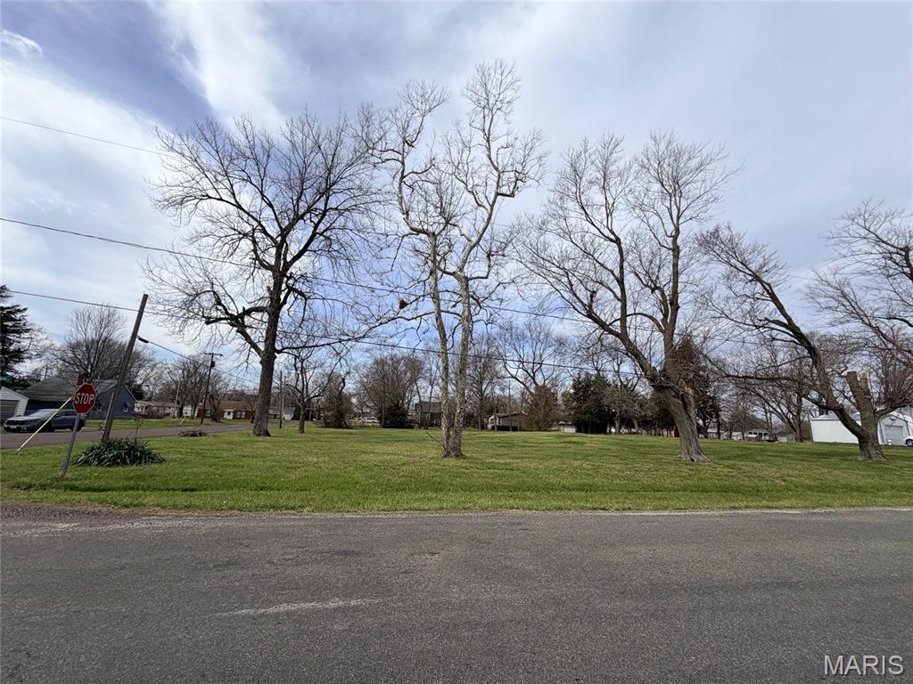 Photo of 13007 Harrison Trail, Litchfield, IL 62056