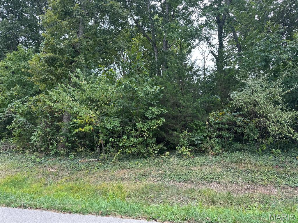 Photo of 0 cedar circle, Unincorporated, MO 63670