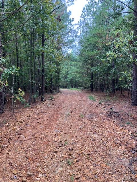 Photo of 195 Madison CR 410, Fredericktown, MO 63645