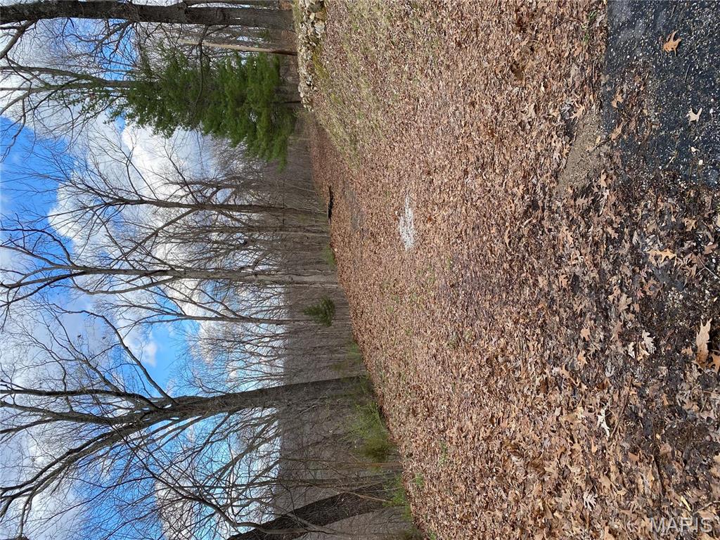Photo of 0 Yates, House Springs, MO 63051