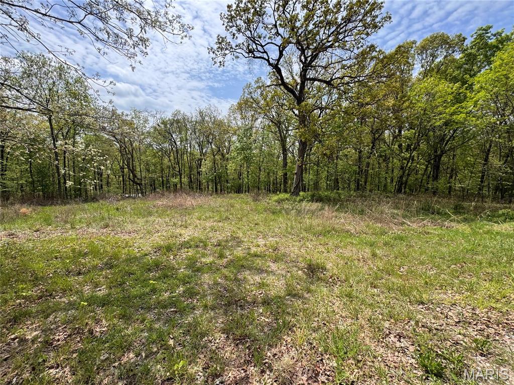 Photo of 195 Stoney Point Drive, Whitewater, MO 63785