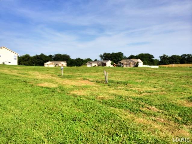Photo of 501 BLUFF MEADOWS Drive, Valmeyer, IL 62295