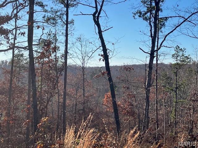 Photo of 55 Madison CR 410, Fredericktown, MO 63645