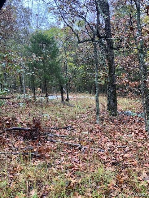 Photo of 163 Madison CR 410, Fredericktown, MO 63645