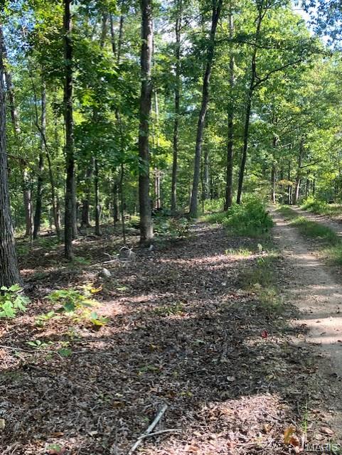 Photo of 194 Madison CR 410, Fredericktown, MO 63645