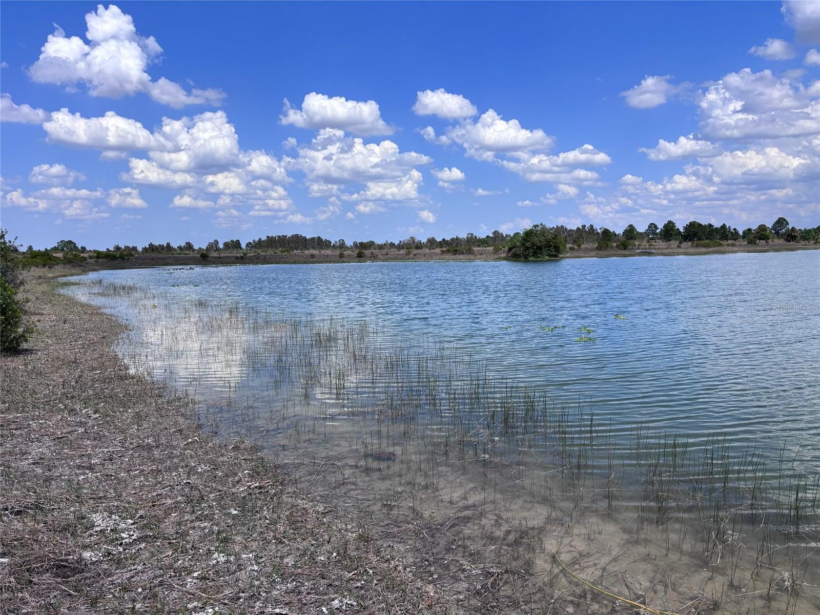 Photo of 48033 BERMONT ROAD, PUNTA GORDA, FL 33982