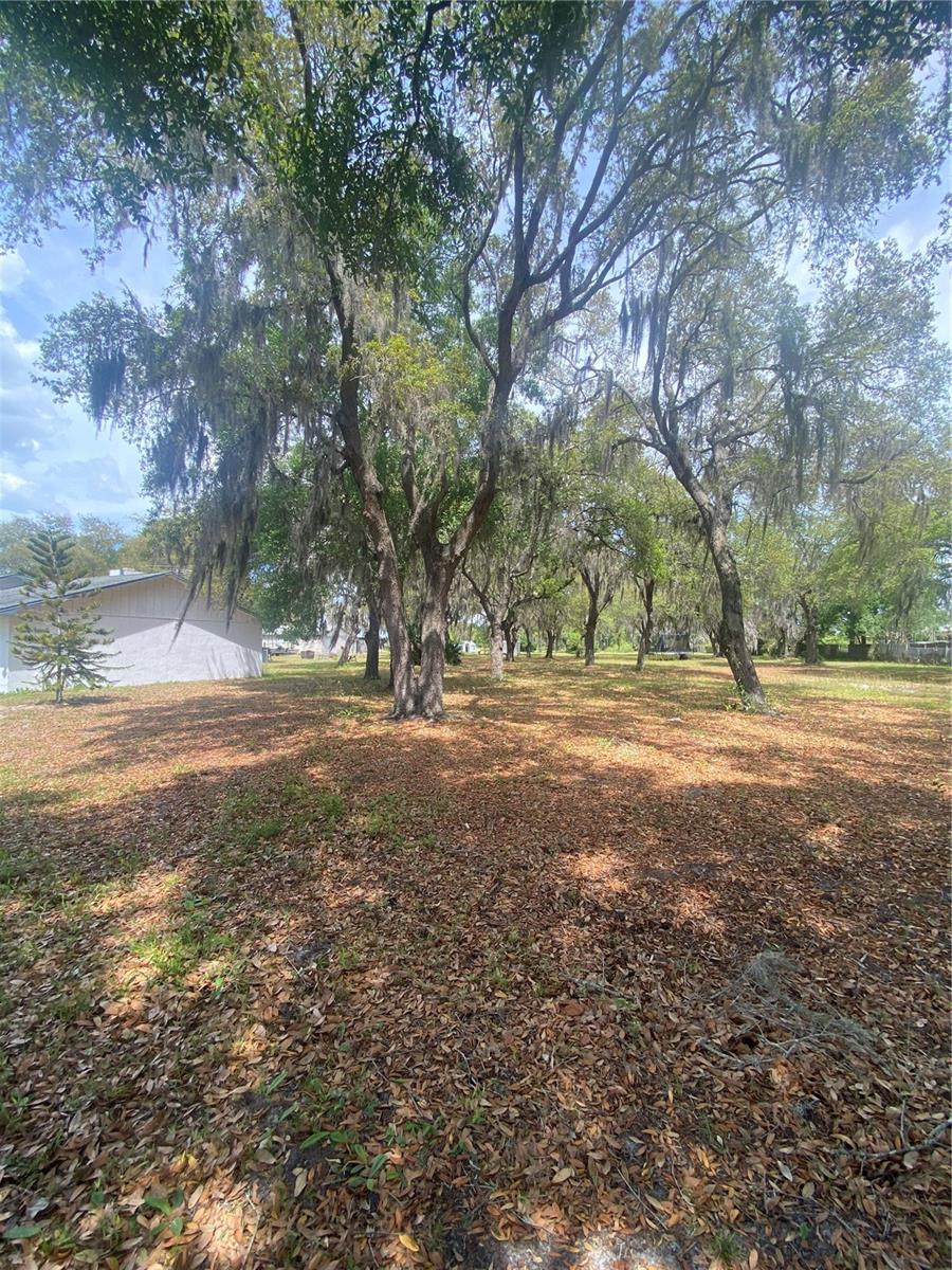 Photo of 4151 BOGGY CREEK ROAD, KISSIMMEE, FL 34744