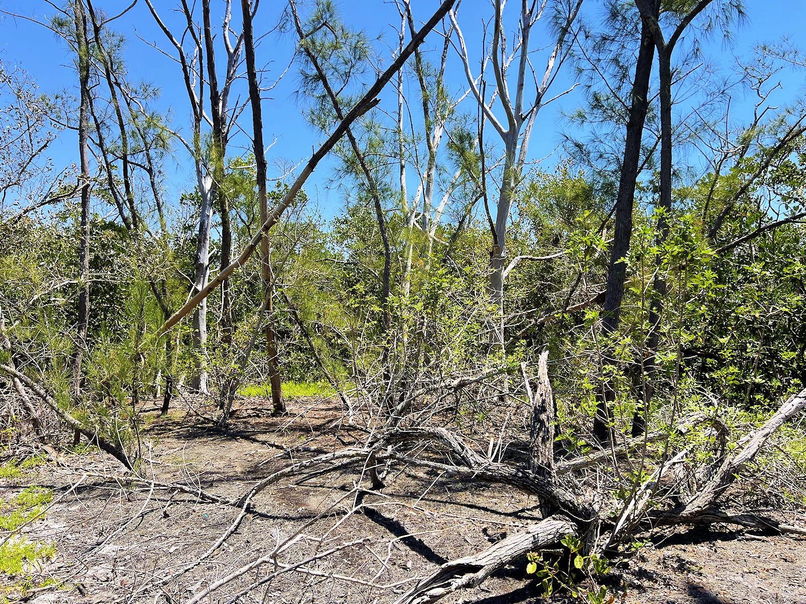 Photo of MANASOTA KEY ISLAND, ENGLEWOOD, FL 34223