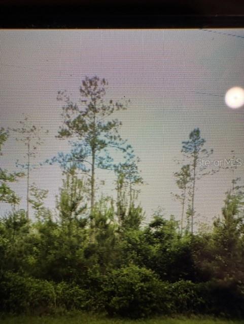 Photo of COUNTY ROAD 305, BUNNELL, FL 32110