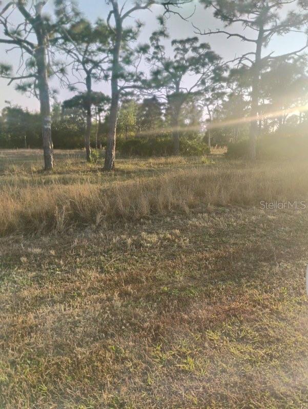 Photo of 6820 STRINGFELLOW ROAD, ST JAMES CITY, FL 33956