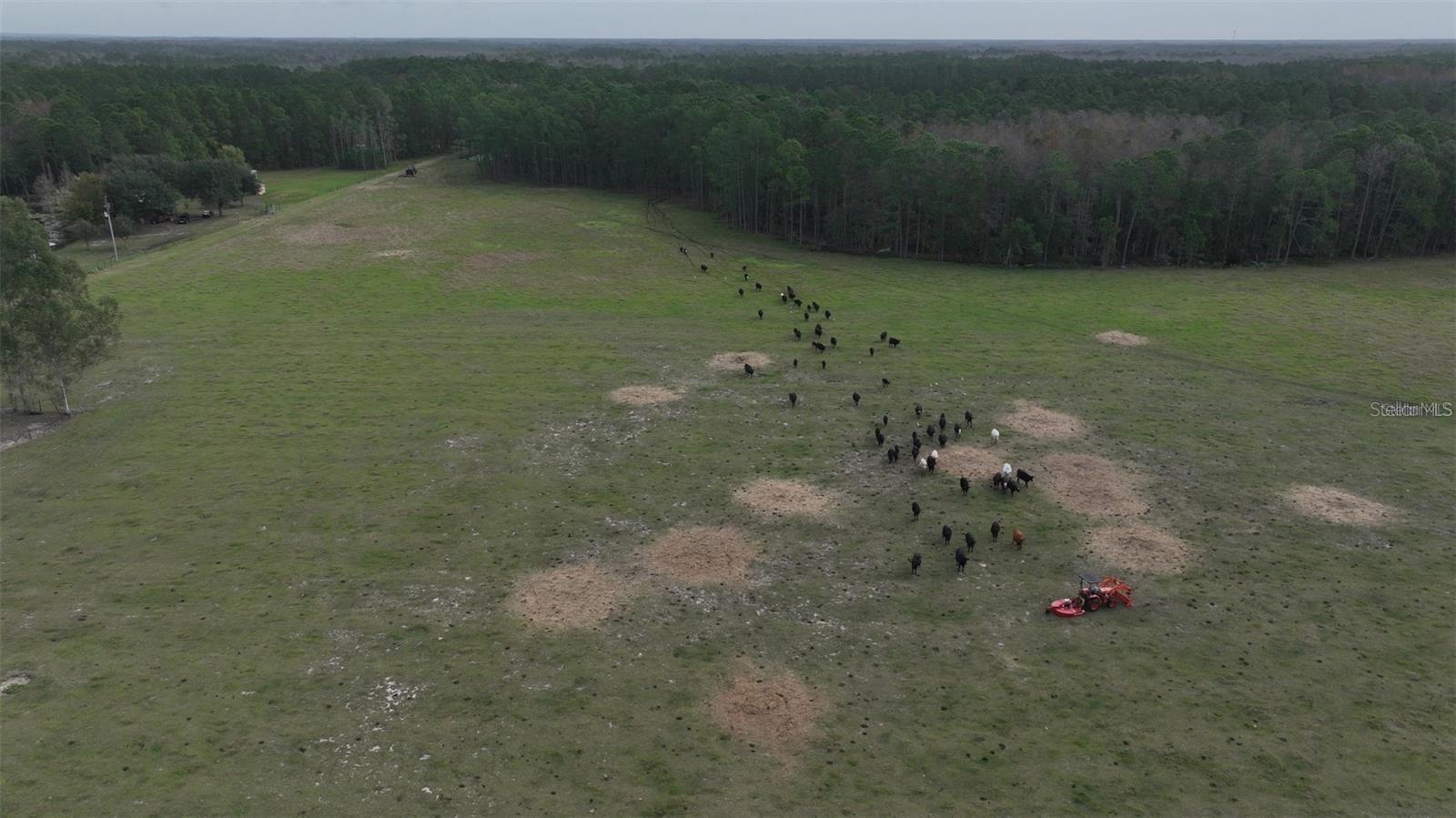 Photo of BERRY GROVES RD DRIVE, CLERMONT, FL 34714