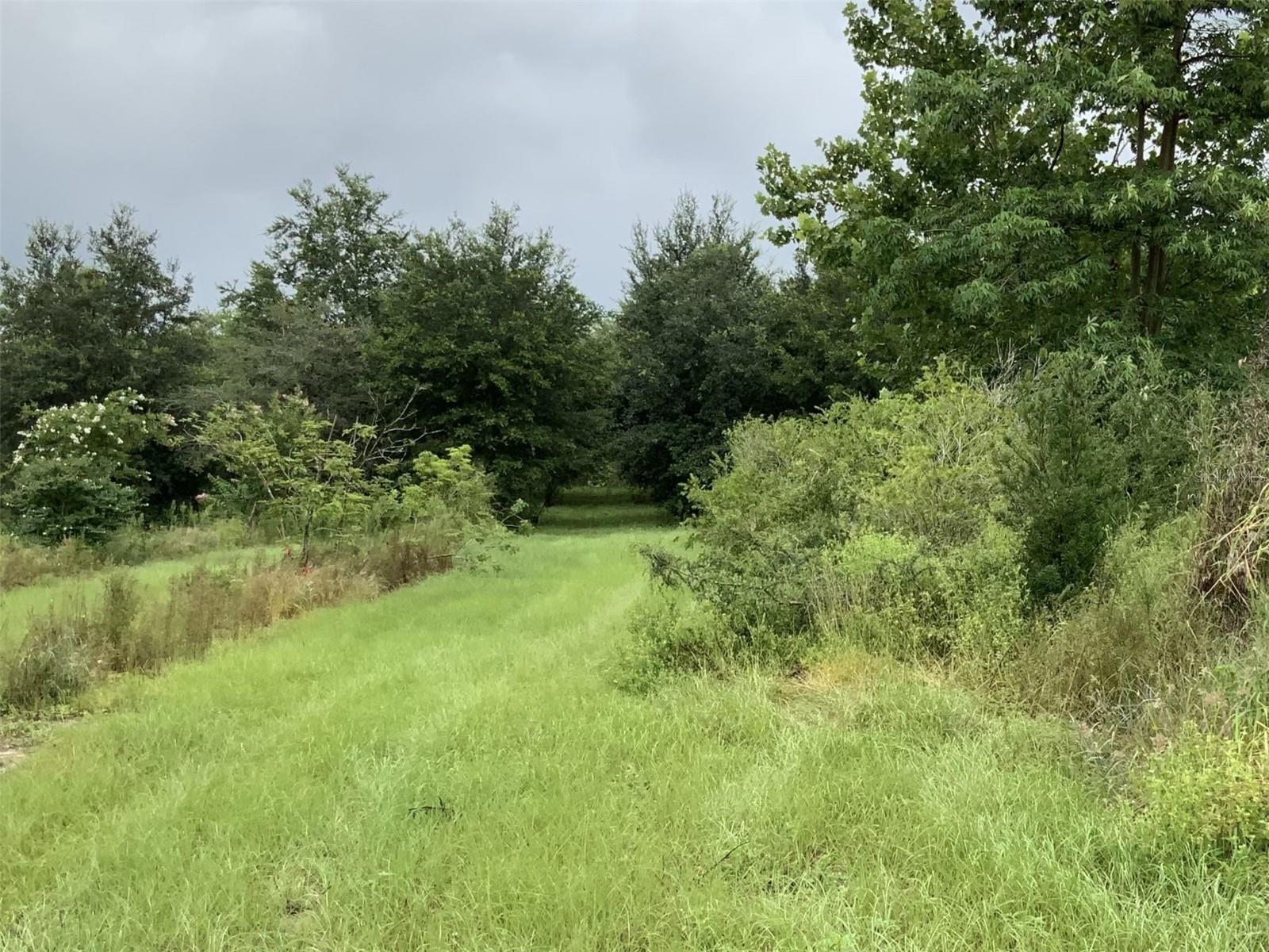 Photo of 5079 ONDICH ROAD, APOPKA, FL 32712