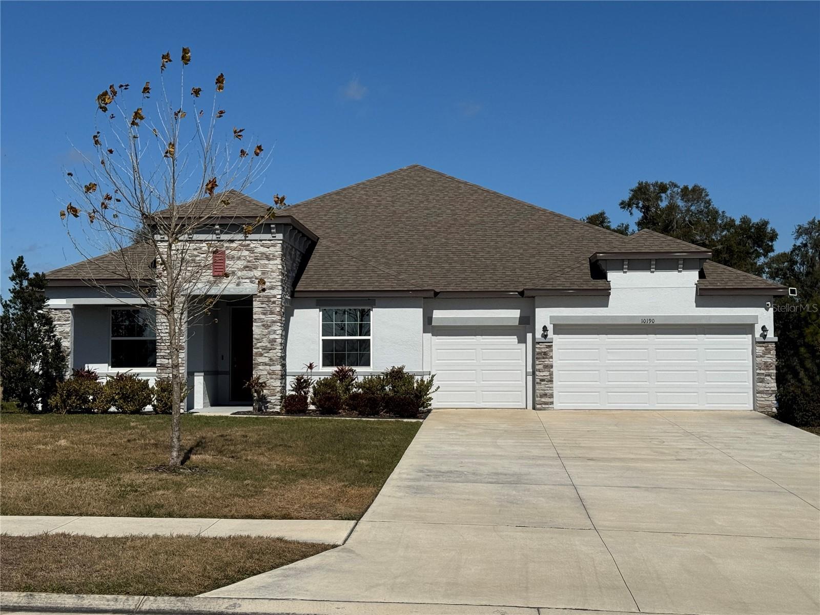 Photo of 10190 DOLPHIN GULL CIRCLE, THONOTOSASSA, FL 33592