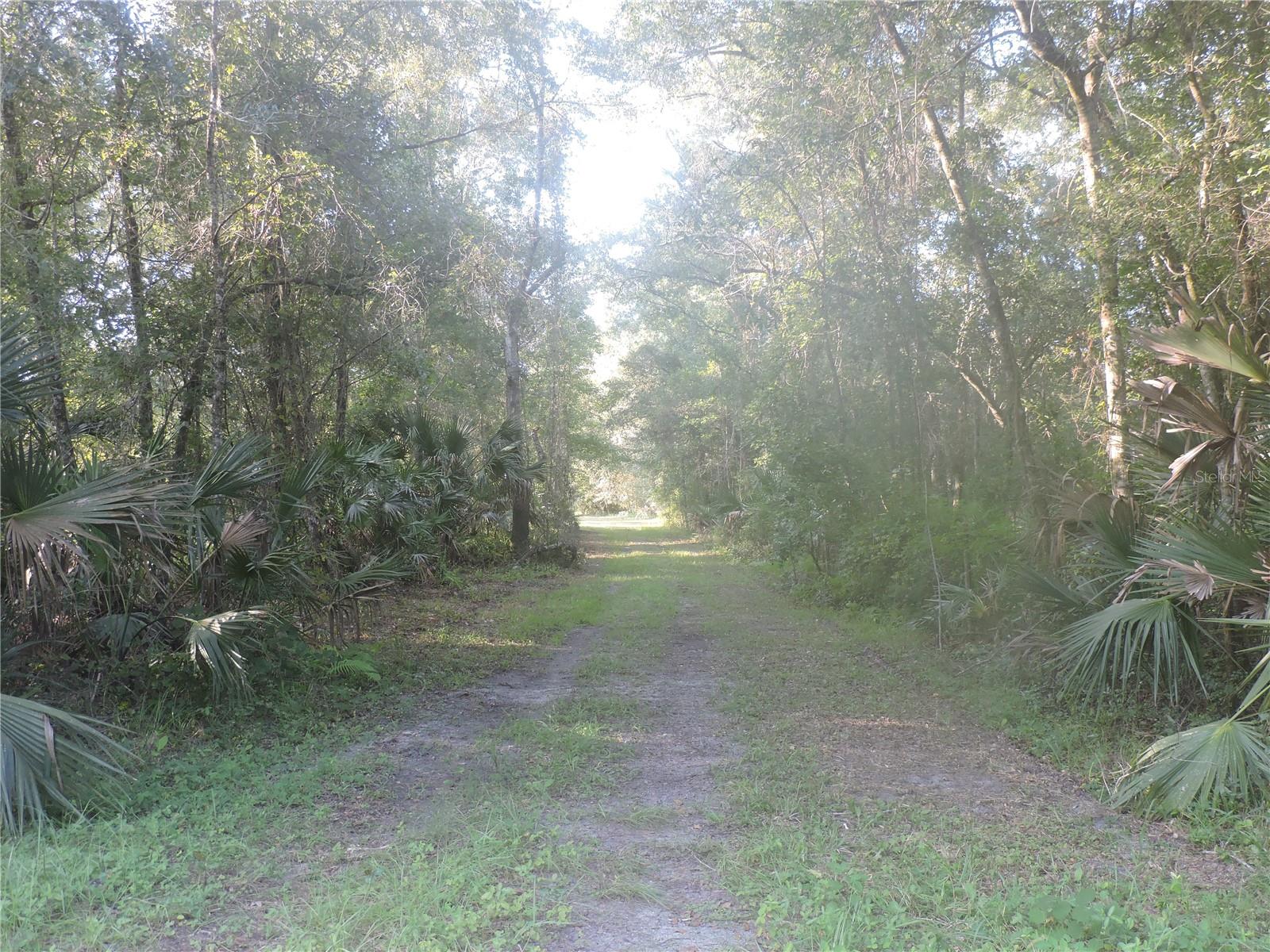 Photo of W COUNTY ROAD 2006 WEST W, BUNNELL, FL 32110