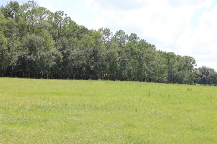 Photo of GREEN SWAMP ROAD, CLERMONT, FL 34714