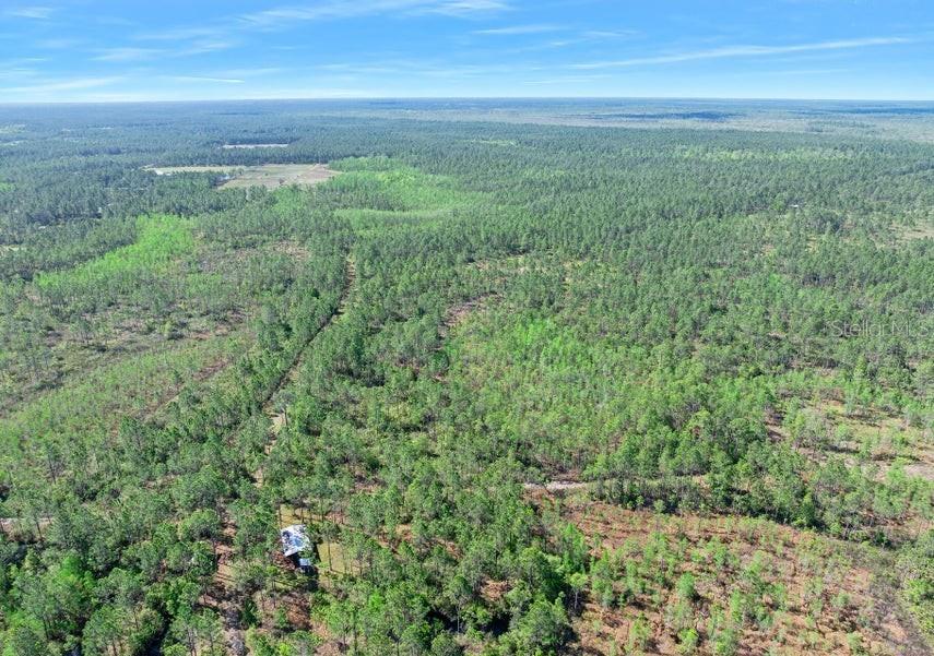 Photo of 0 CARTER STREET, BUNNELL, FL 32110