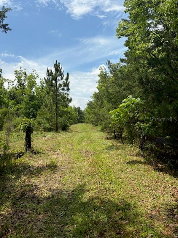 Photo of 459 COUNTY ROAD 2006 E, BUNNELL, FL 32110