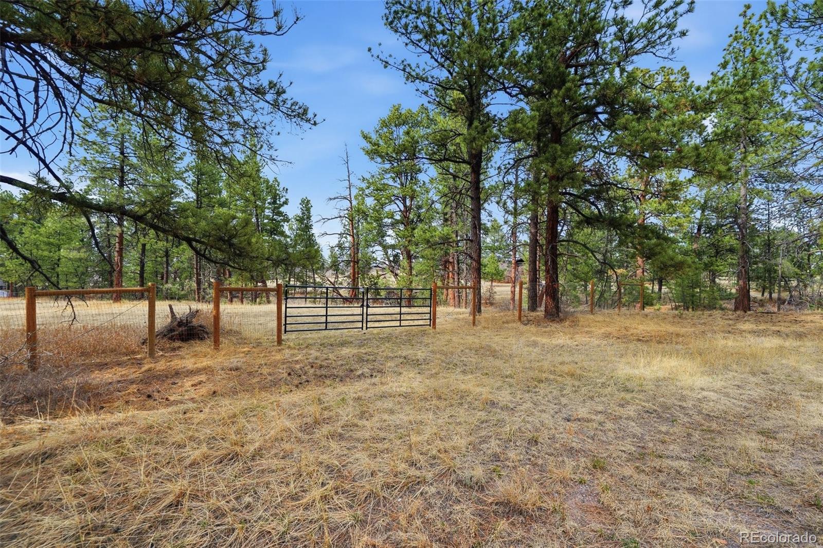 Photo of E Park Drive, Franktown, CO 80116