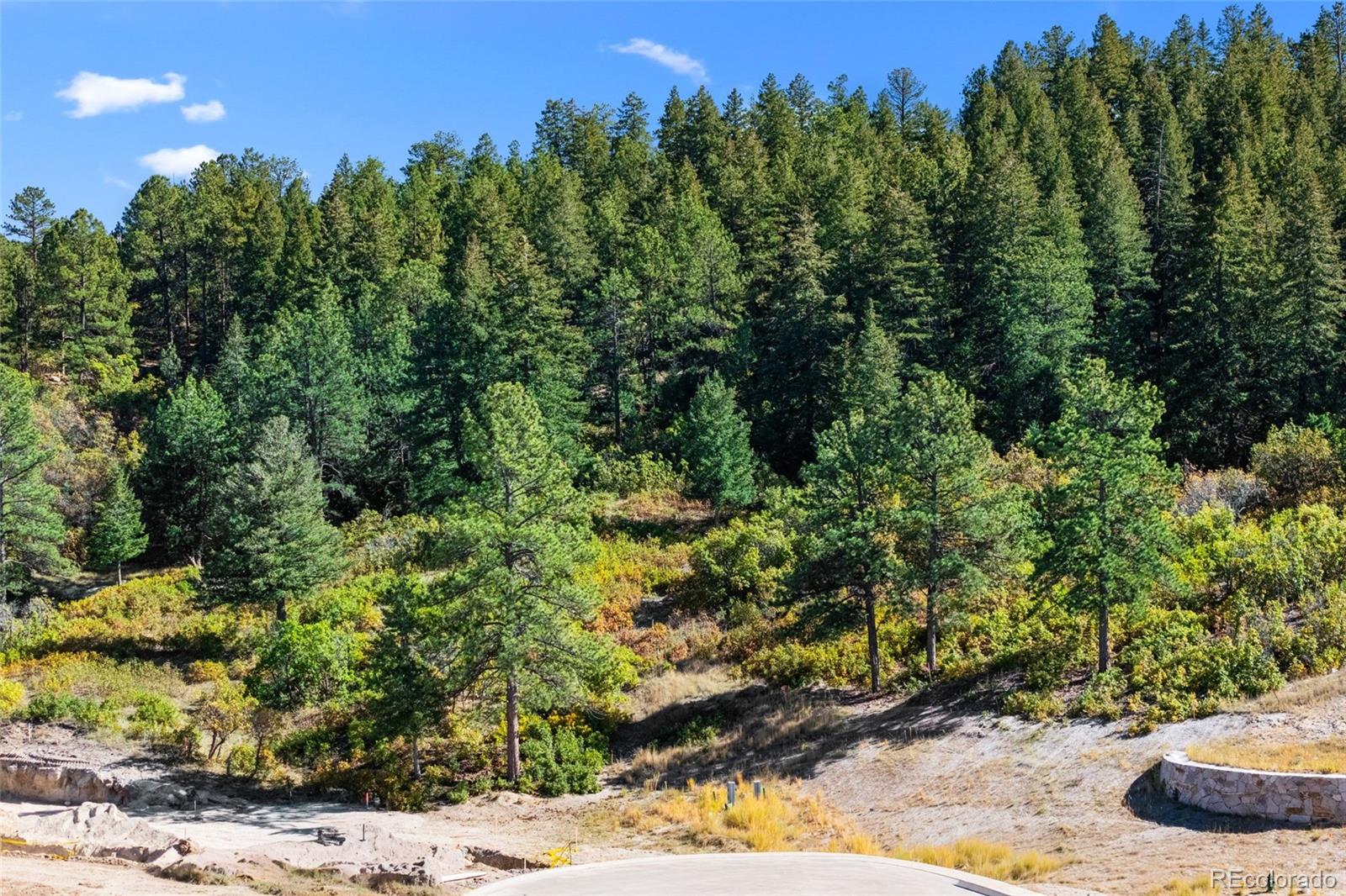 Photo of 1095 Golf Estates Point, Castle Rock, CO 80108