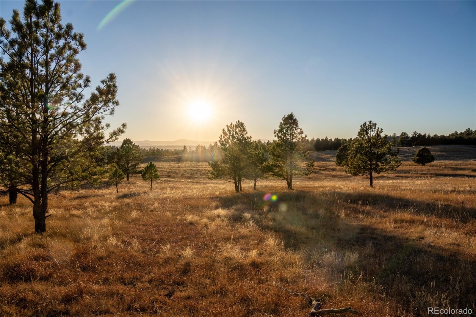 Photo of N/A Woodhaven Ridge Road, Parker, CO 80134