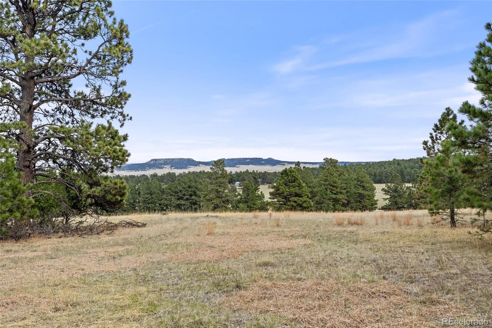 Photo of 8653 N Teacup Road, Elbert, CO 80106
