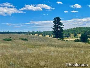 Photo of 11726 CR 102, Elbert, CO 80116