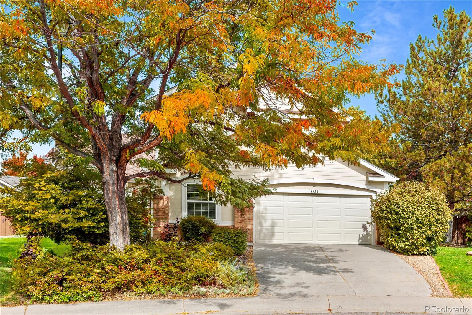 Photo of 8825 Fairview Oaks Place, Lone Tree, CO 80124