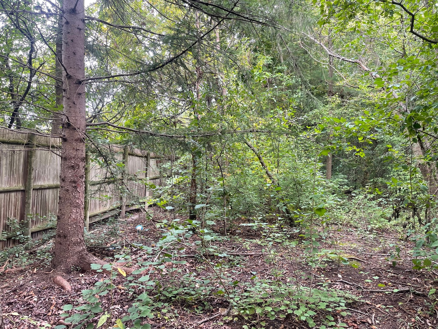 Photo of 1351 N Sheridan Road, Lake Forest, IL 60045