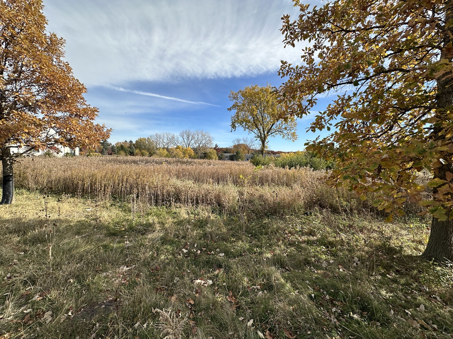 Photo of 3 TEMPLETON Drive, Oak Brook, IL 60523