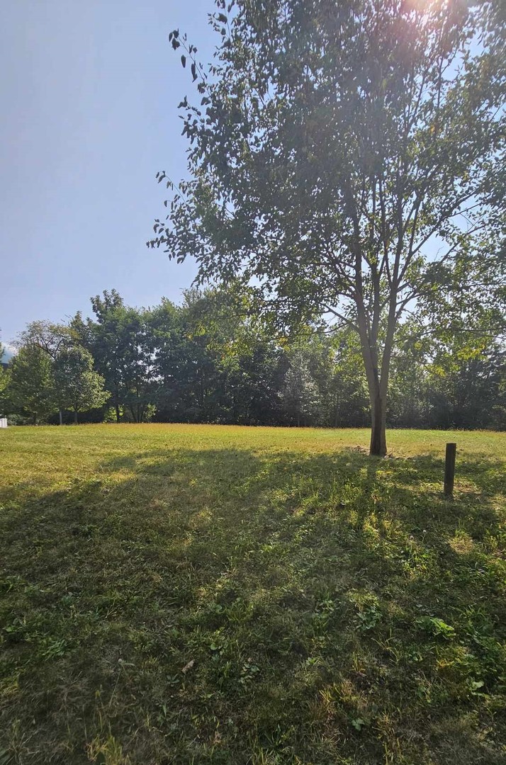 Photo of 428 WOODLAND Trail, Lindenhurst, IL 60046