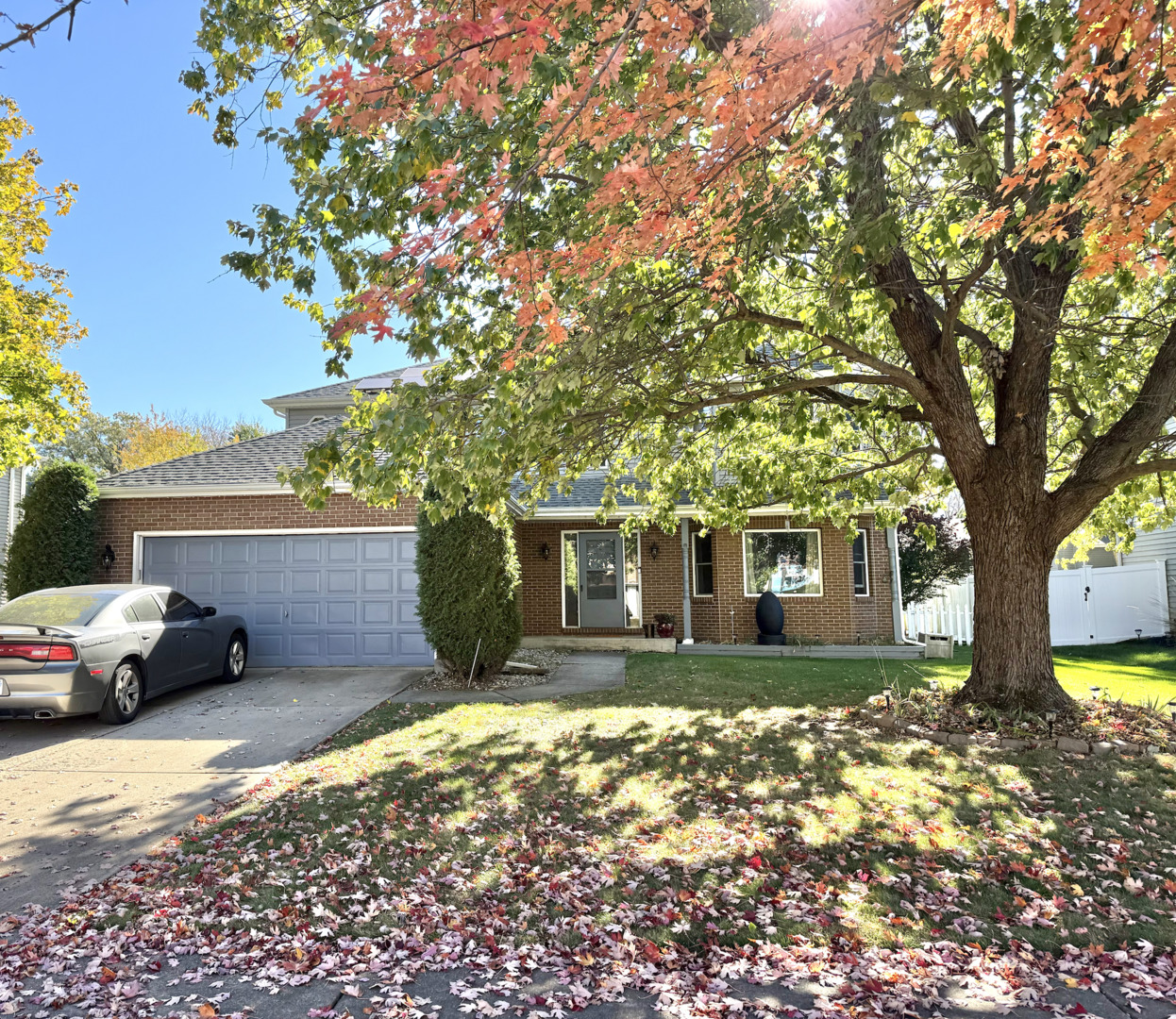 Photo of 1433 COLUMBUS Drive, Bolingbrook, IL 60490