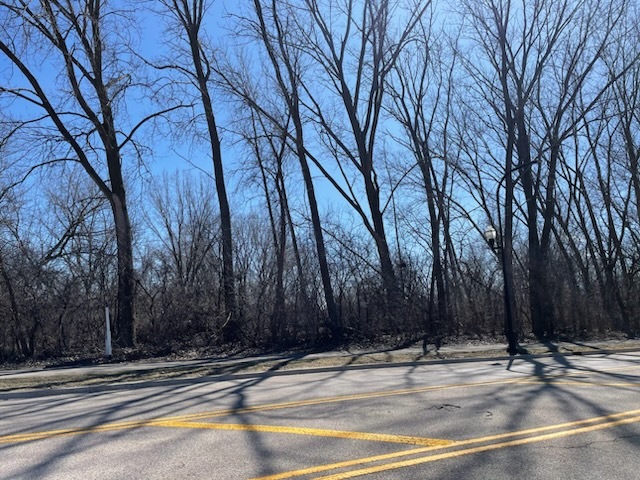 Photo of 003 South Street, Elgin, IL 60124