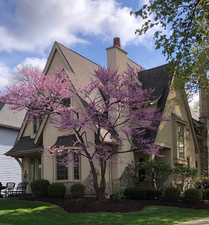 Photo of 706 N Ellsworth Street, Naperville, IL 60563