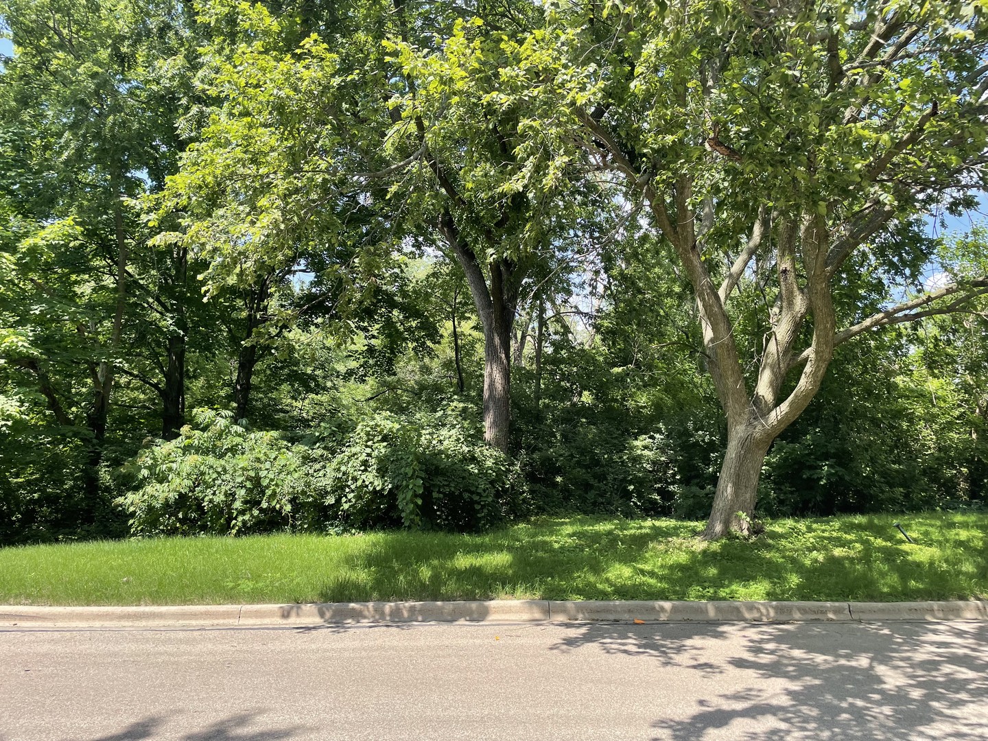 Photo of Lot 4 Manchester Avenue, Batavia, IL 60510