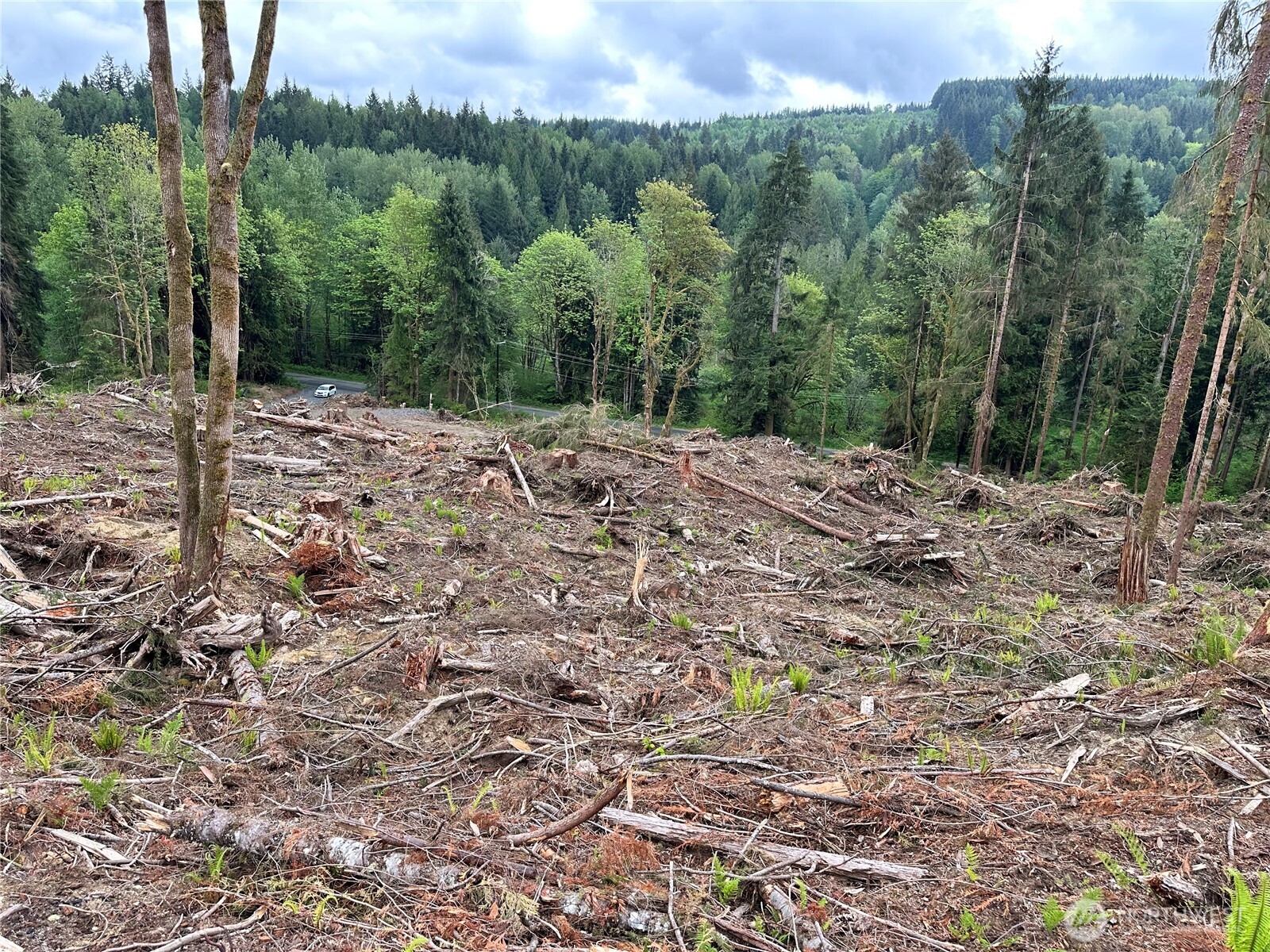 Photo of 0 S Carpenter Road, Snohomish, WA 98280
