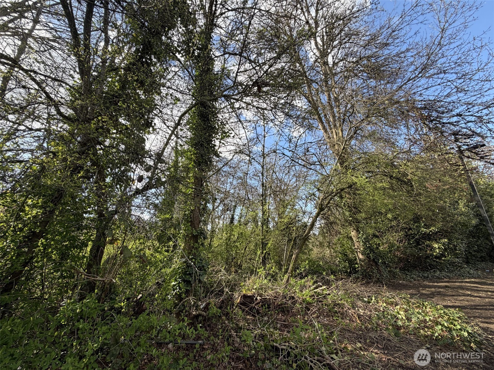 Photo of 5722 35th Avenue S, Seattle, WA 98118
