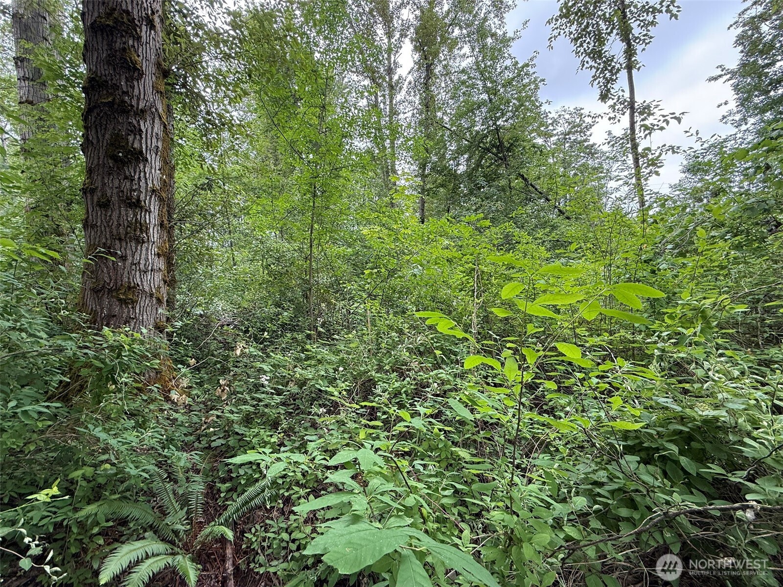 Photo of 1810 S 27th Street, Renton, WA 98055