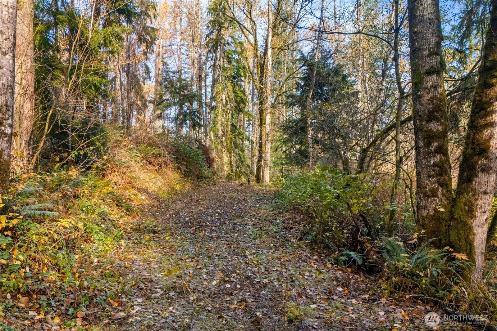 Photo of 15 xxx Brookside Place, Snohomish, WA 98290