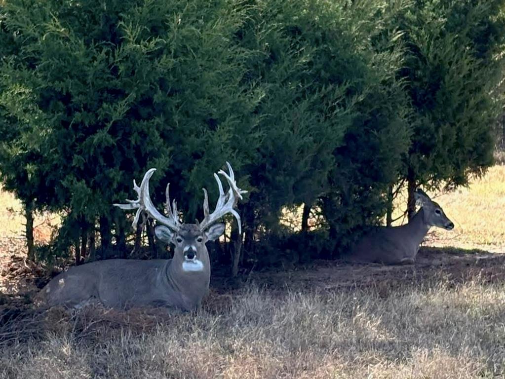 Photo of 368145 E 980 Road, Boley, OK 74829