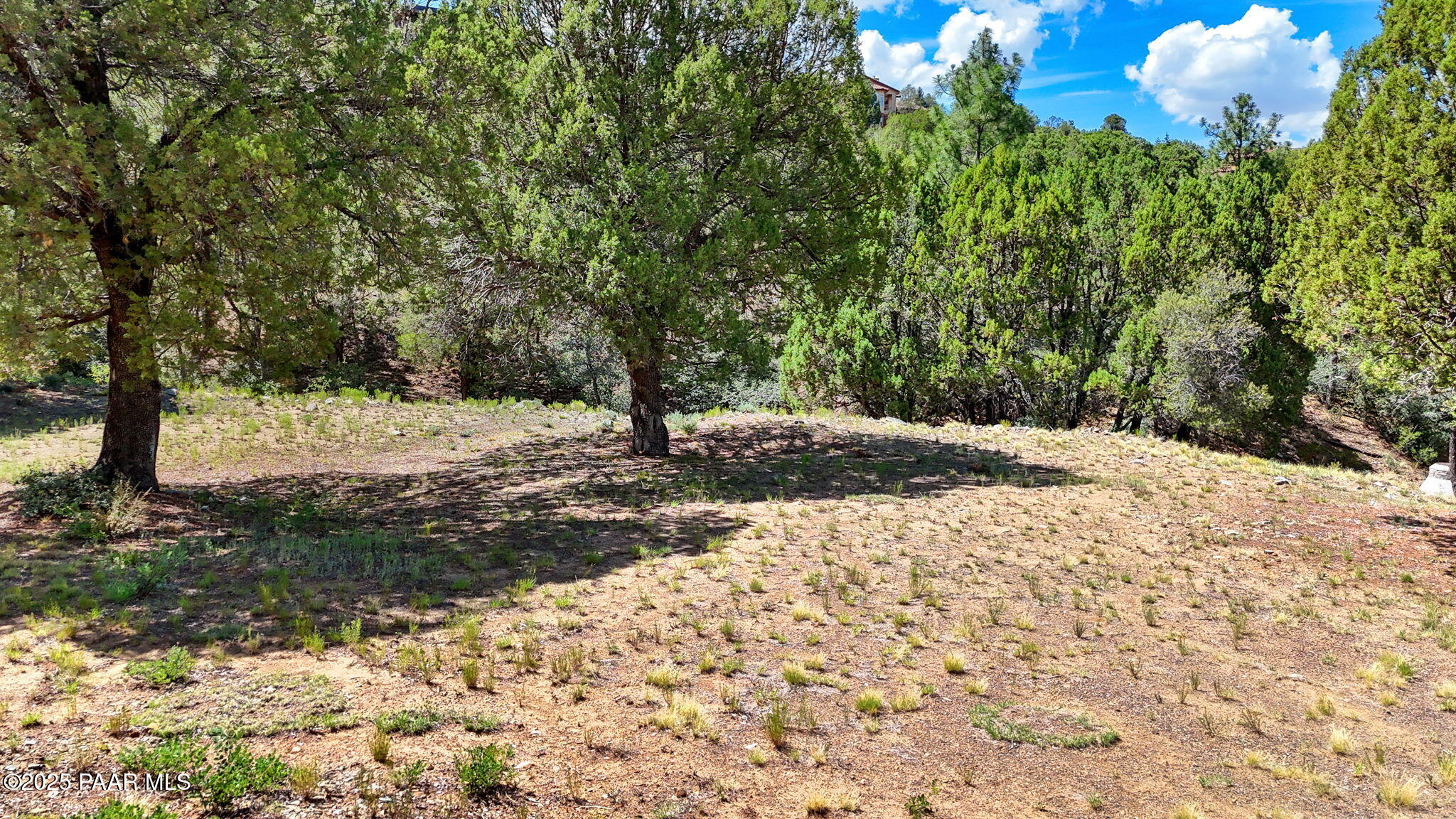 Photo of 574 Donny Brook Circle, Prescott, AZ 86303