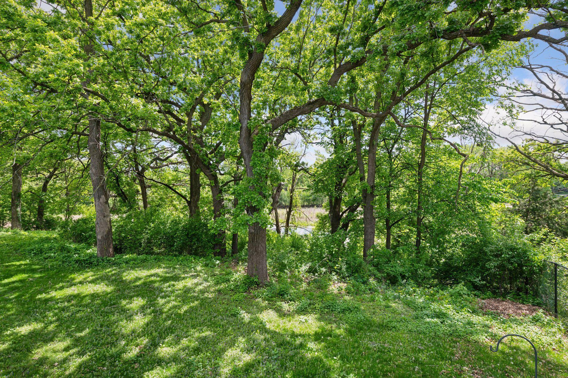 Photo of 9017 W 31st Street, Saint Louis Park, MN 55426