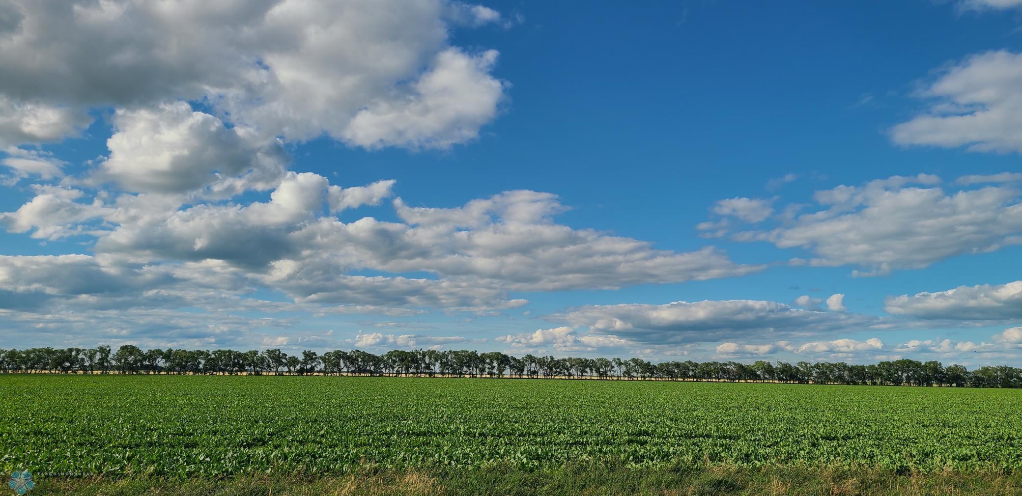 Photo of 1702 110th St, Deerhorn Twp, MN 56594