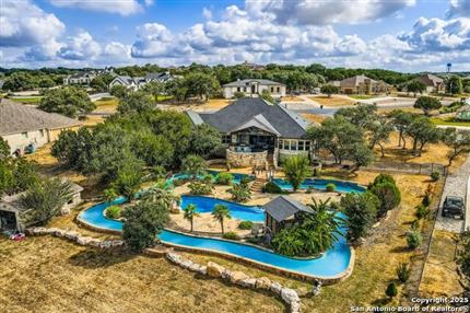 Photo of 2550 black bear, New Braunfels, TX 78132