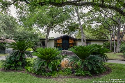 Photo of 124 Thelma, San Antonio, TX 78212
